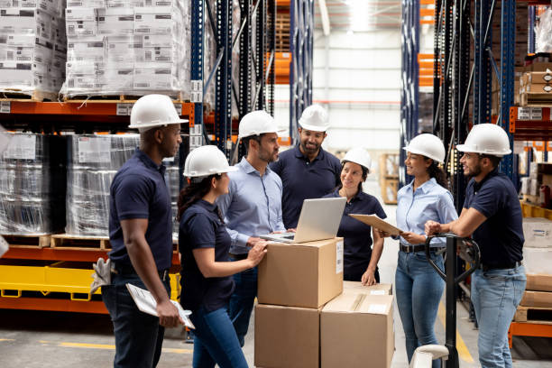 Cargo & Logistics Associate